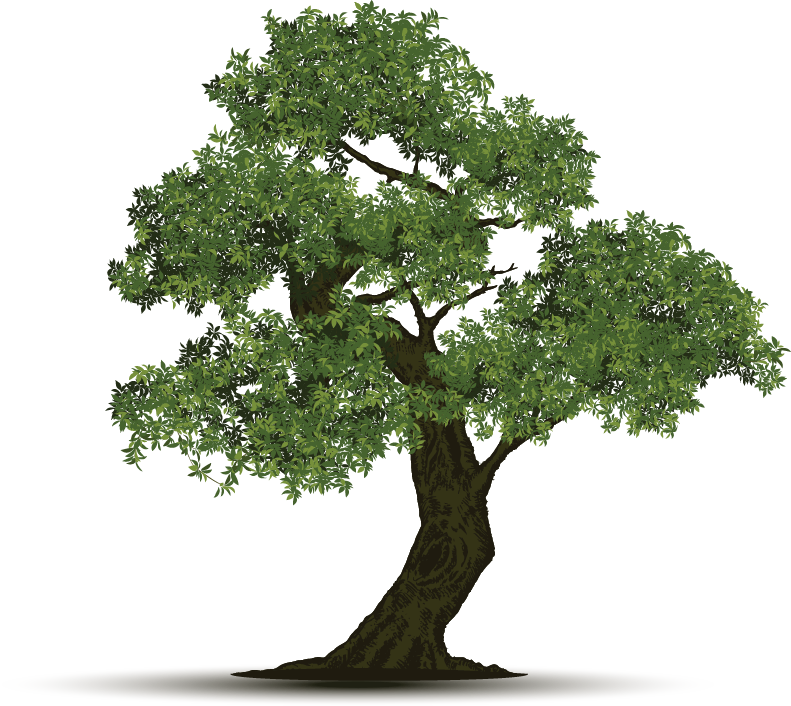 ProgramResources-CrookedTree Lifehouse program graphic
