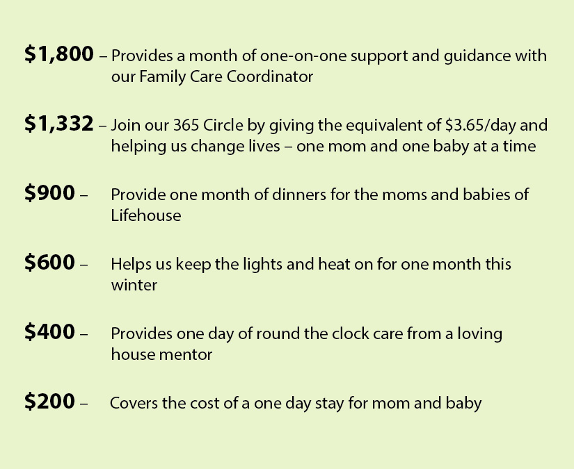 Donation amounts and what they will do to help the moms and babies of Lifehouse